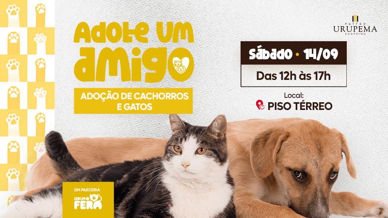 Ilustração do evento: Patteo Urupema Shopping promove mais um evento de adoção de cães e gatos